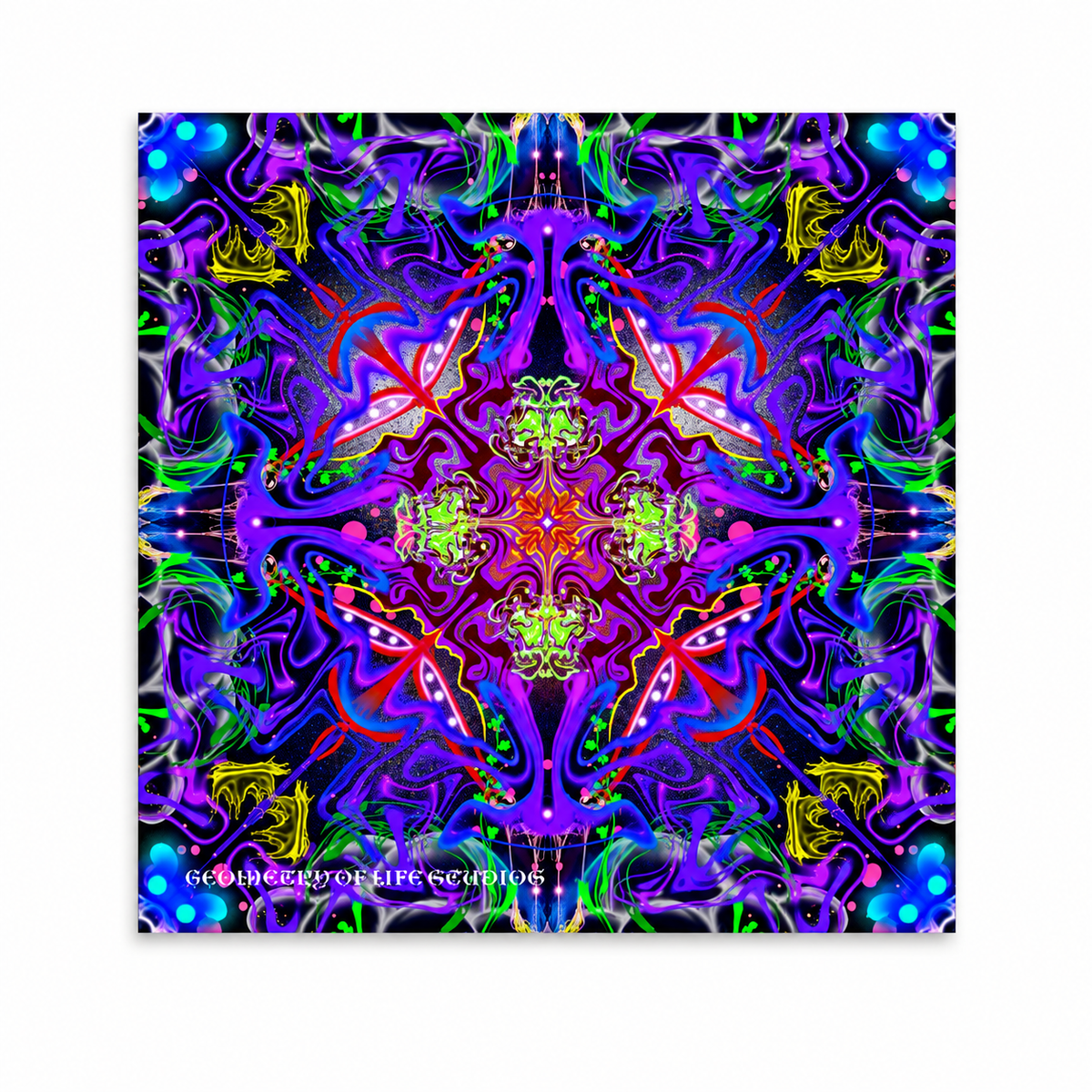 Nova Bloom – Canvas Print (Ten by Ten)